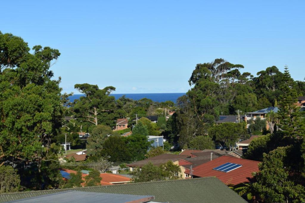 Mollymook Caravan Park Exteriér fotografie