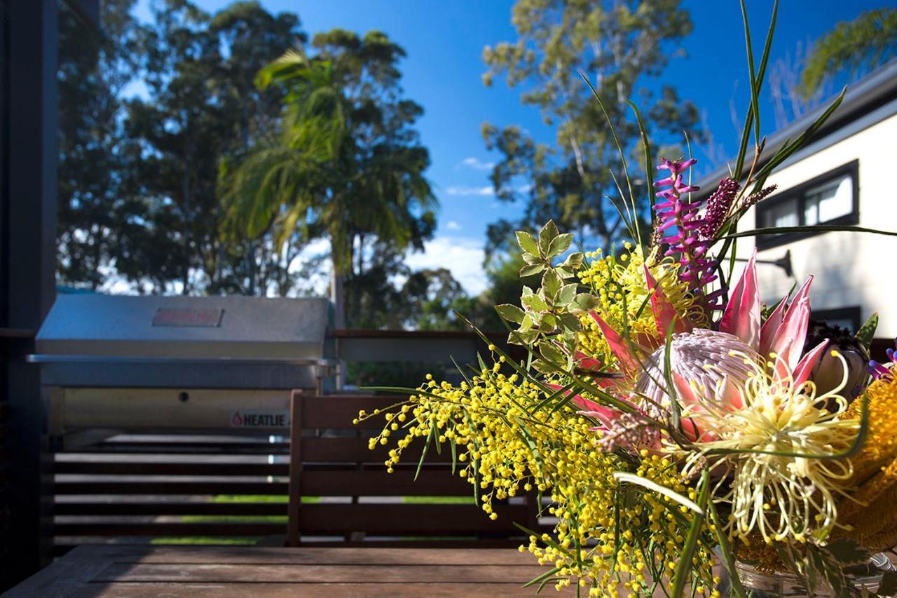 Mollymook Caravan Park Exteriér fotografie